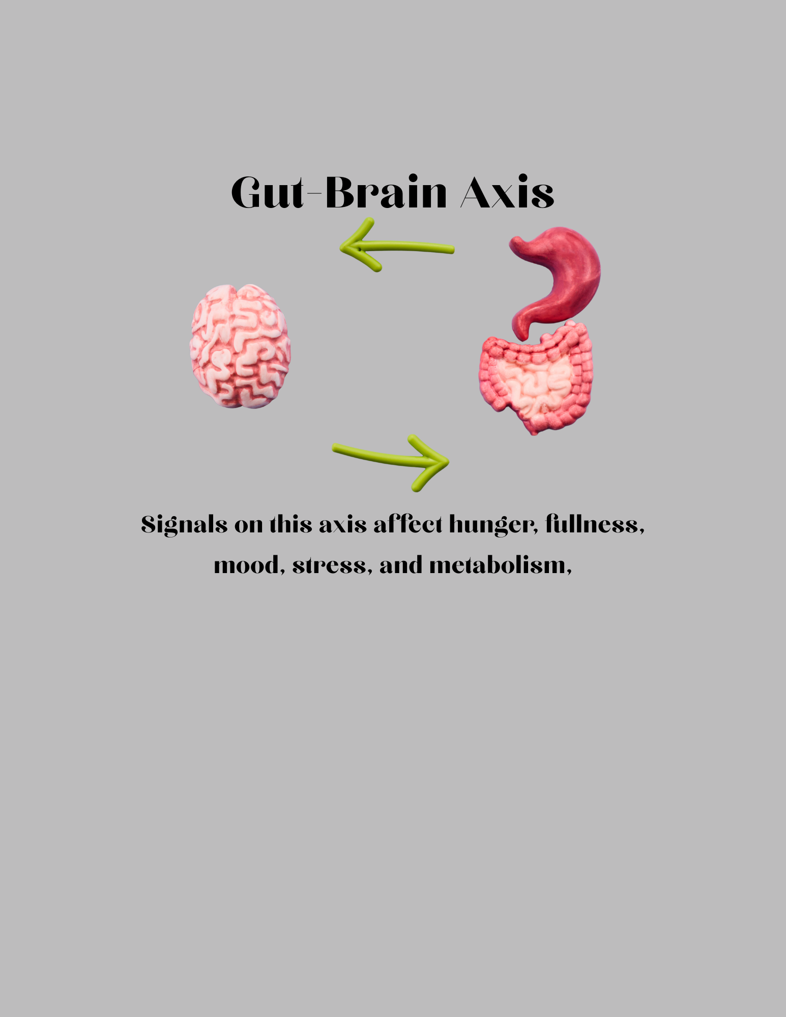 Gut-brain axis diagram